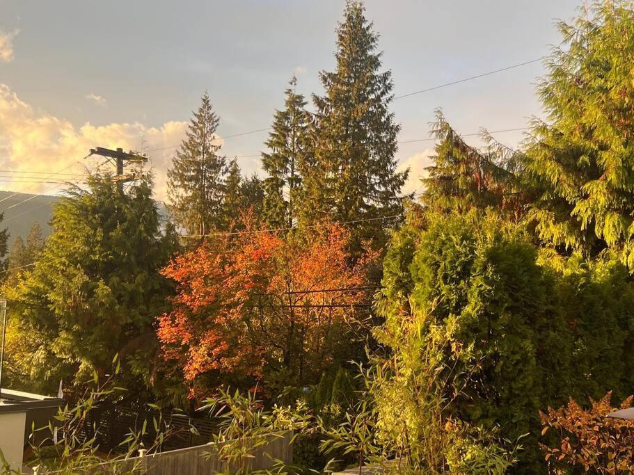 'Canyon Heights' Retreat North Vancouver Zewnętrze zdjęcie