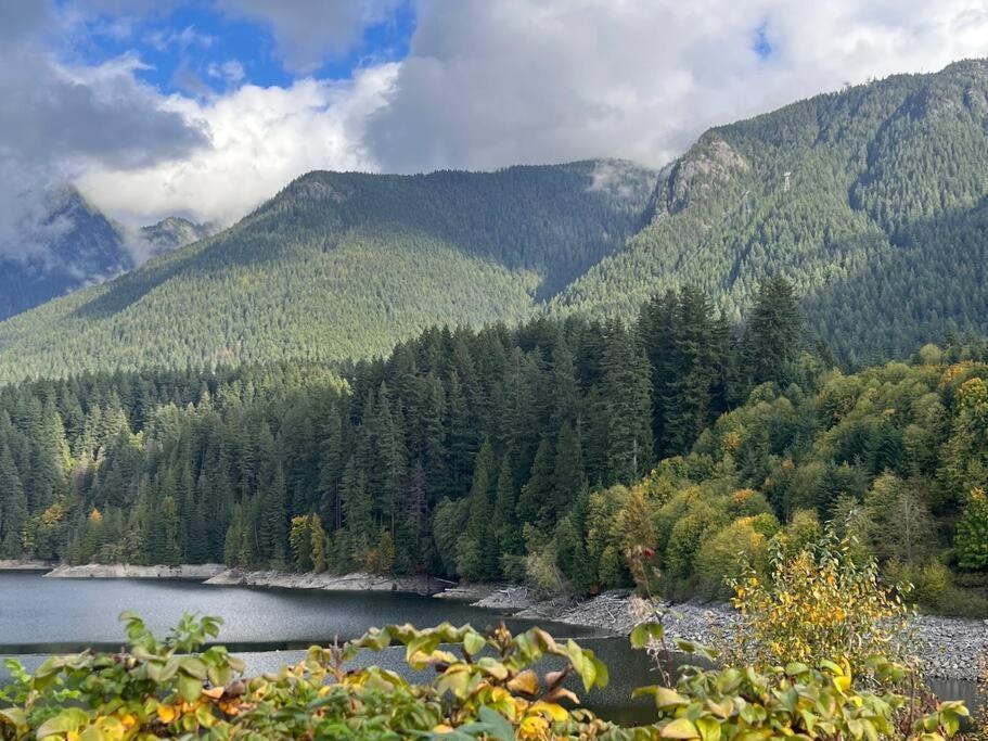'Canyon Heights' Retreat North Vancouver Zewnętrze zdjęcie